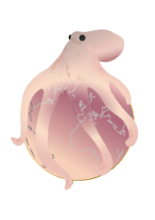 Octopus-transparent-3.png