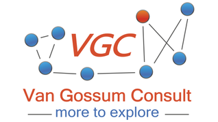 VGCConsult-4.png