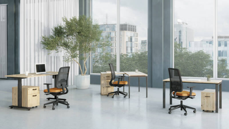 alt="bureau assis-debout LUTZ 2 EOL - Revendeur M3D ERGONOMIE"