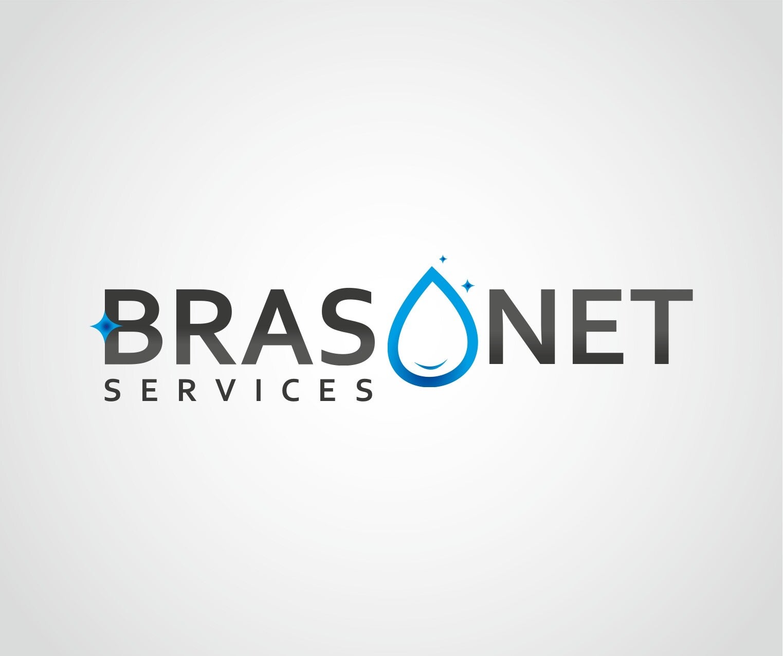 Logo de l'entreprise Brasnet services