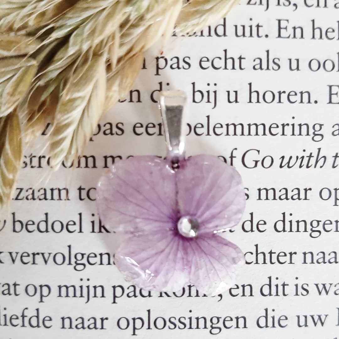 24) Hortensia met strassteentje 