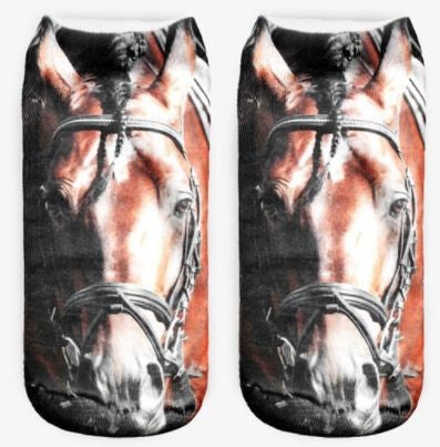 Grappige sokken Paard