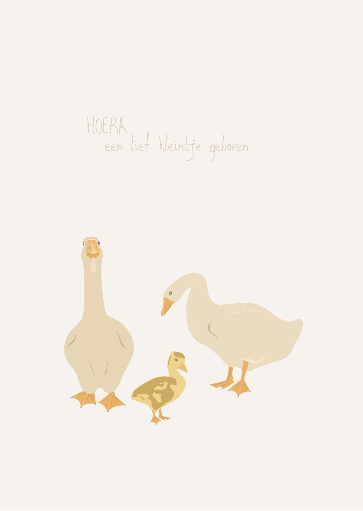 Kaart - hoera een kleintje