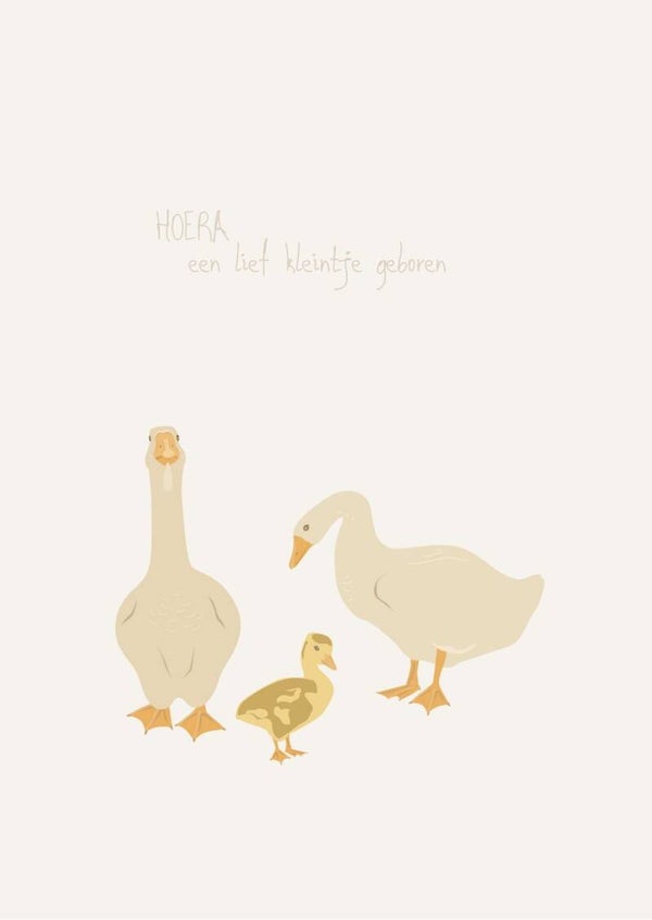 Kaart - hoera een kleintje