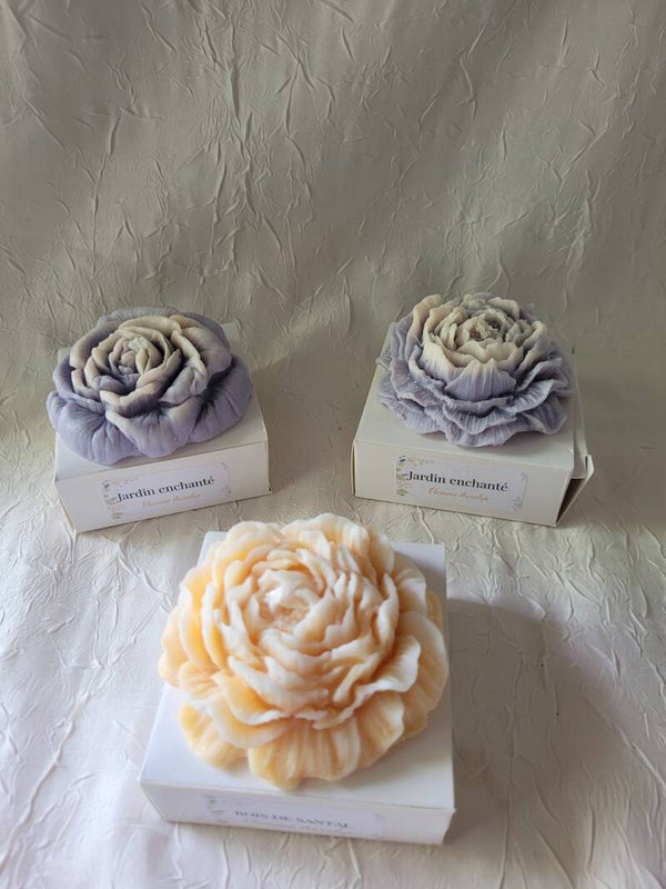 Pivoine / Rose / bougie