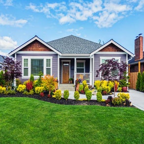 istockphoto-1255835530-612x612-standard.jpg