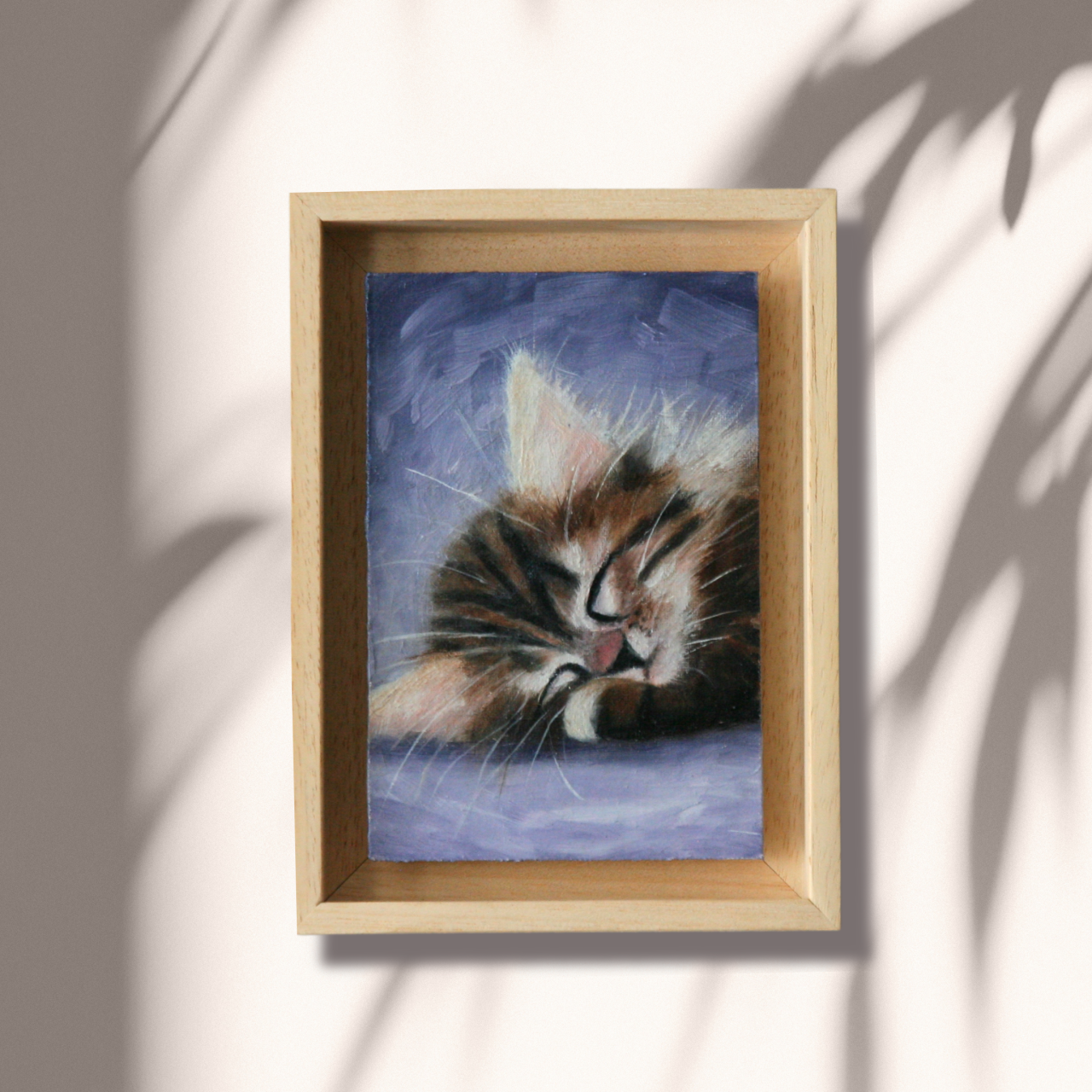 Sleeping Kitten
