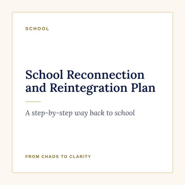 School Reconnection and Reintegration Plan