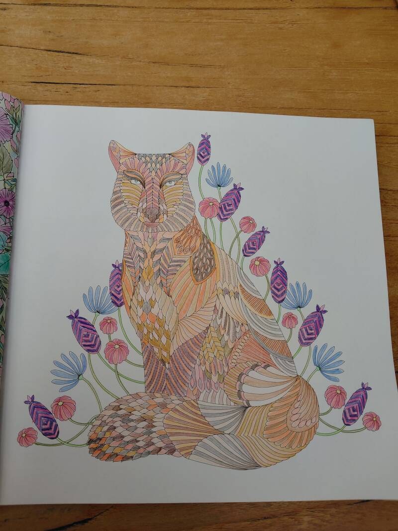 Kleurplaat Tibetaanse zandvos uit Wildlife wonders van Millie Marotta.