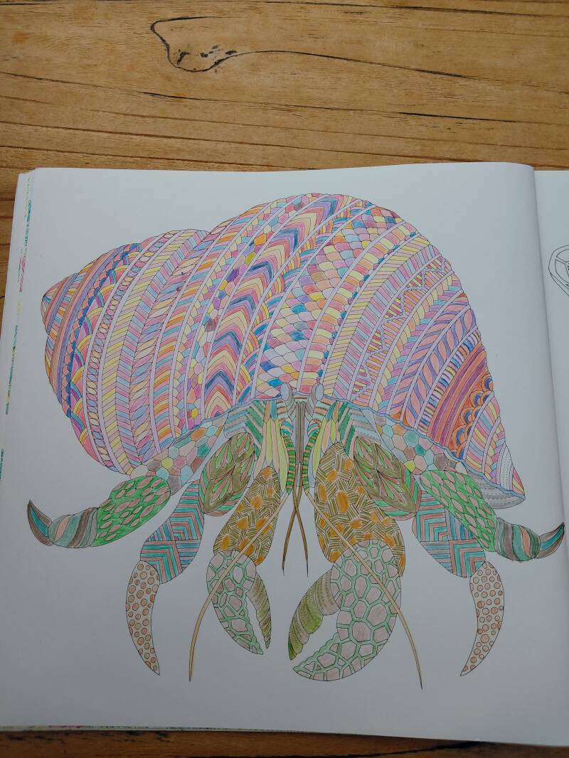 Kleurplaat heremietkreeft uit Brilliant beasts van Millie Marotta.