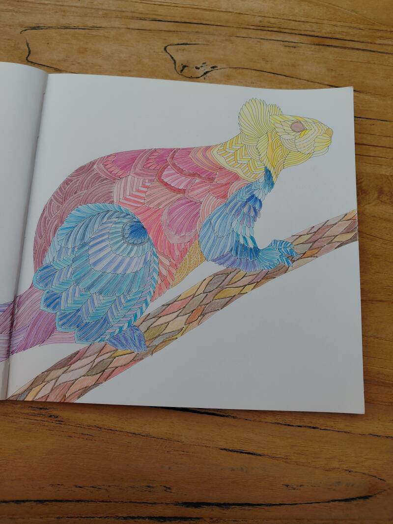 Kleurplaat Indiase reuzeneekhoorn uit Woodland wild van Millie Marotta.