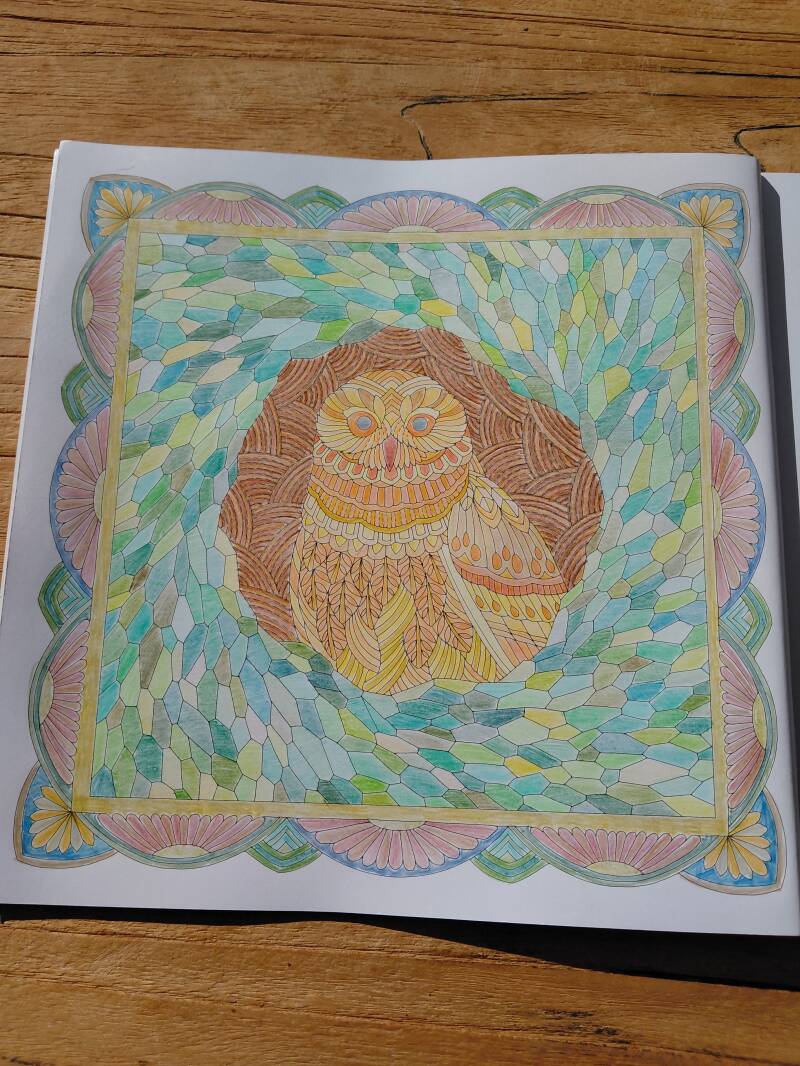 Kleurplaat bare-legged owl uit Island escape van Millie Marotta.