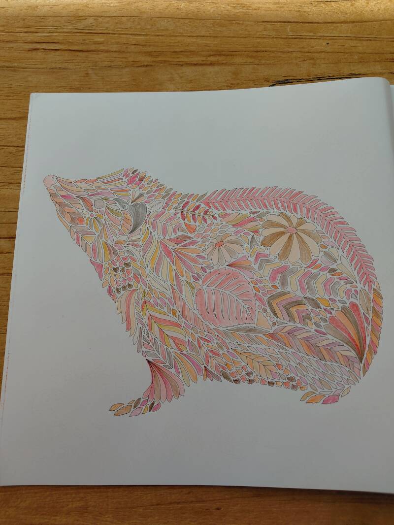 Kleurplaat Europese egel uit Animal adventures van Millie Marotta.