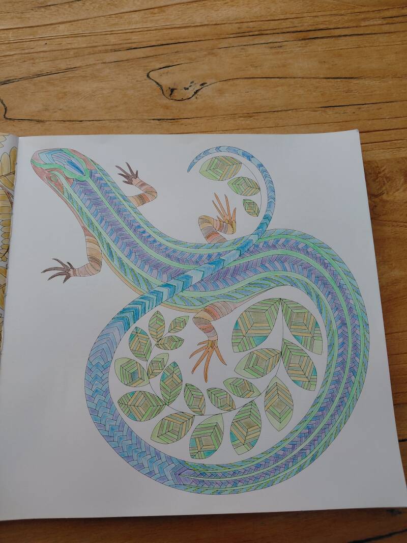 Kleurplaat hagedis uit Briljante beesten van Millie Marotta.