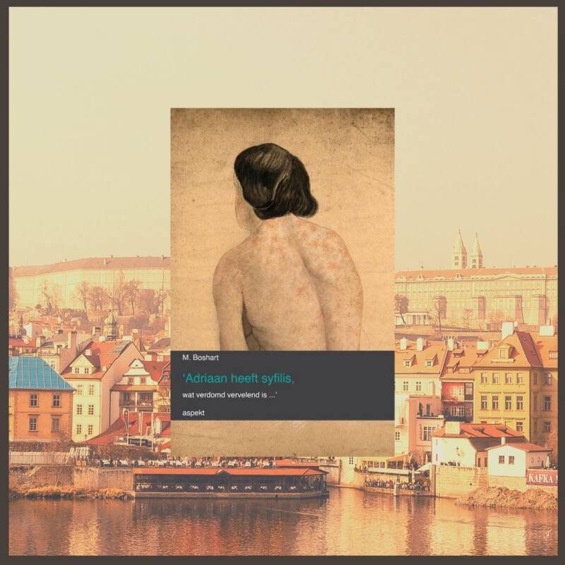 Boek Adriaan heeft syfilis, wat verdomd vervelend is van M. Boshart.