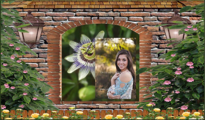 Boek Amy en de lieve moordenaar van Pieter Wouter Broekharst.