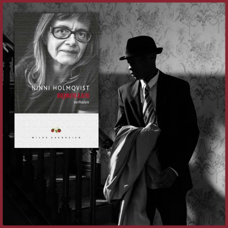 Boek Bijrollen van Ninni Holmqvist.