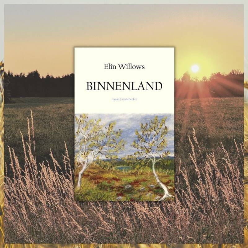 Boek Binnenland van Elin Willows.
