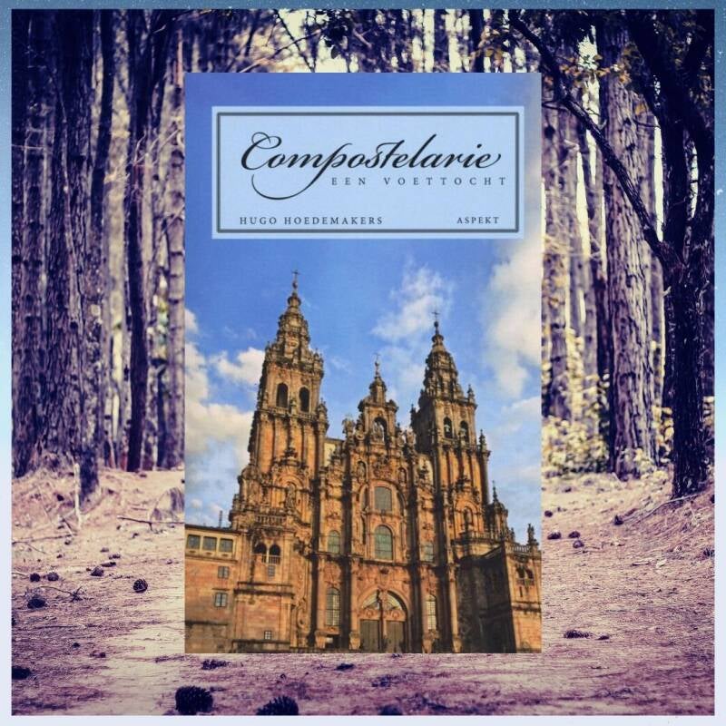 Boek Compostelarie van Hugo Hoedemaker.