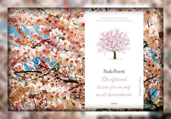 Boek De afstand tussen jou en mij en de kersenboom van Paola Peretti.