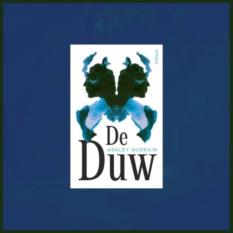 Boek De duw van Ashley Audrain.