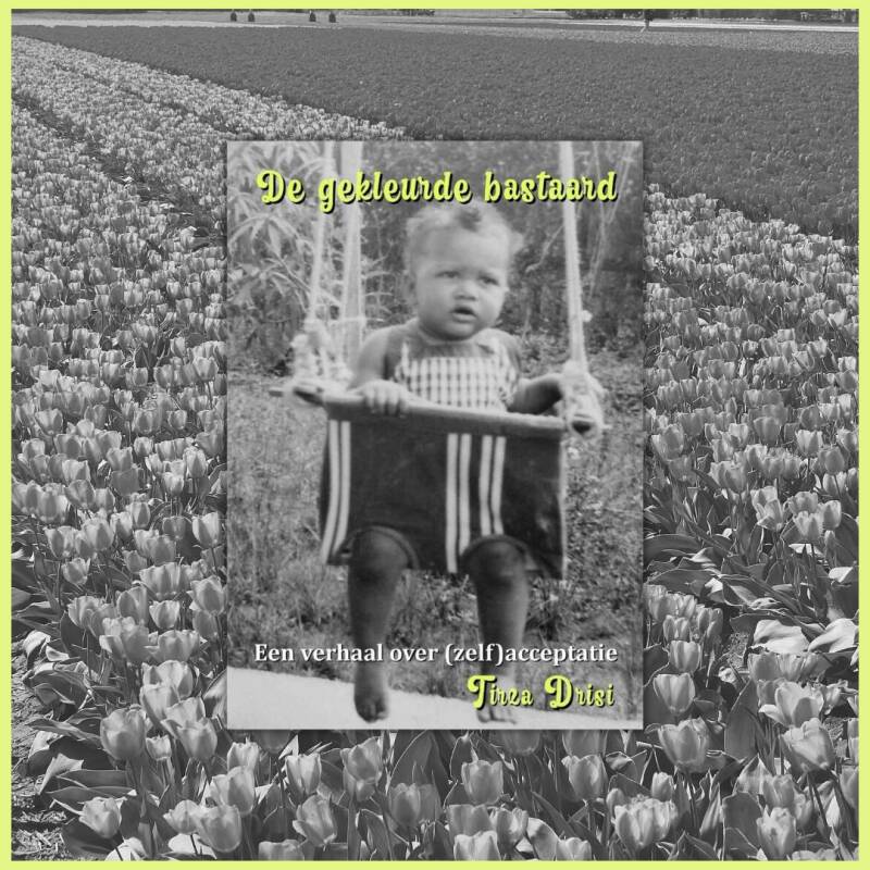 Boek De gekleurde bastaard van Tirza Drisi.