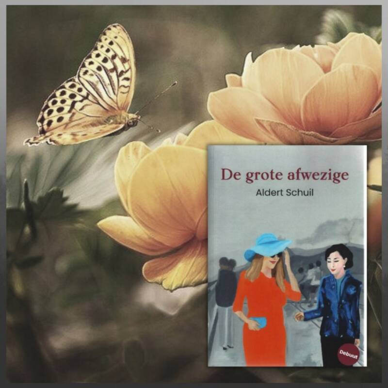 Boek De grote afwezige van Aldert Schuil.