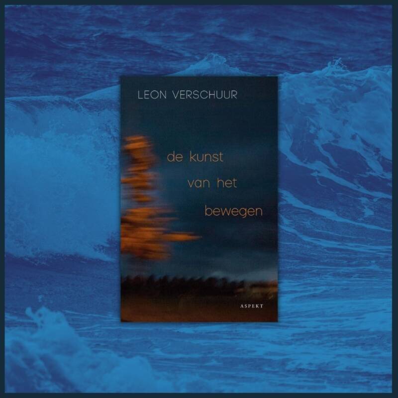 Boek De kunst van het bewegen van Leon Verschuur.
