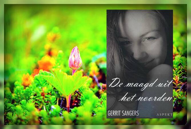 Boek De maagd uit het noorden van Gerrit Sangers.