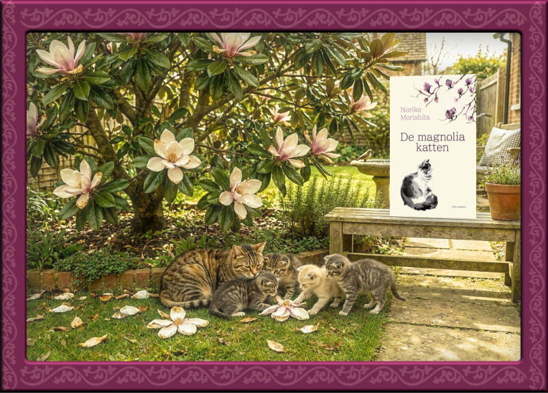 Boek De magnoliakatten van Noriko Morishita.