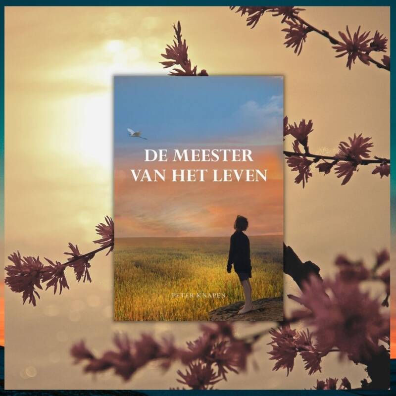 Boek De meester van het leven van Peter Knapen.