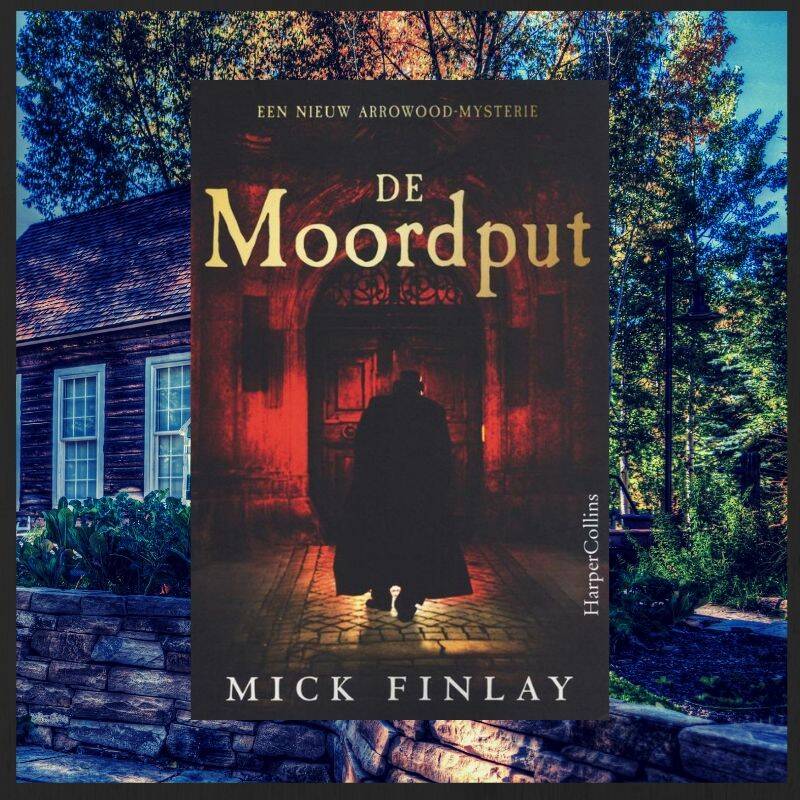 Boek De moordput van Mick Finlay.
