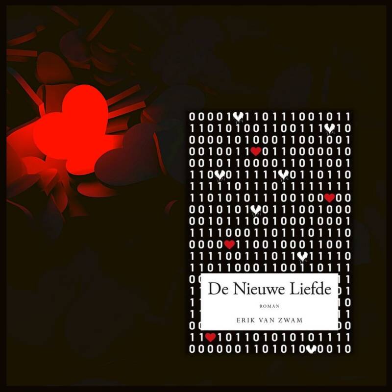Boek De nieuwe liefde van Erik van Zwam.
