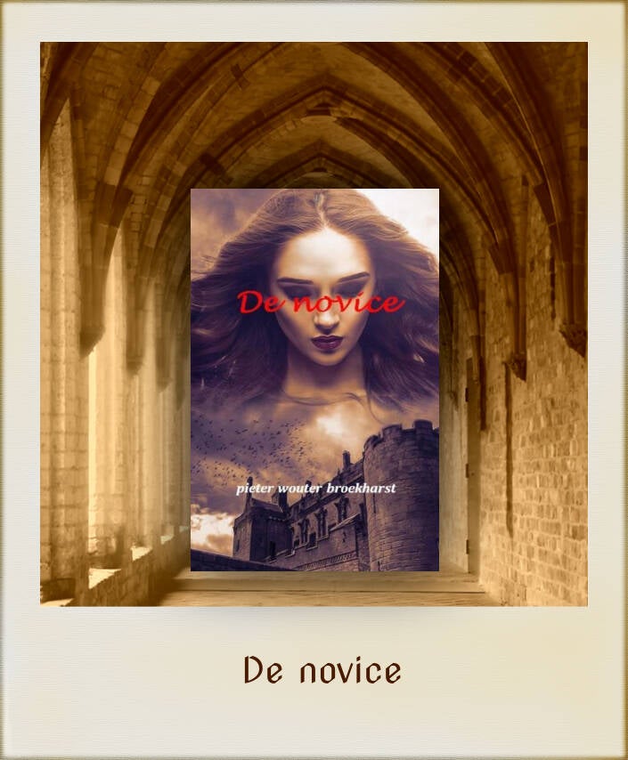 Boek De novice van Pieter Wouter Broekharst.