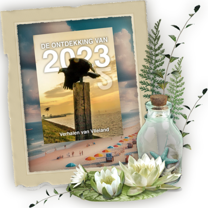 Boek De ontdekking van 2023.