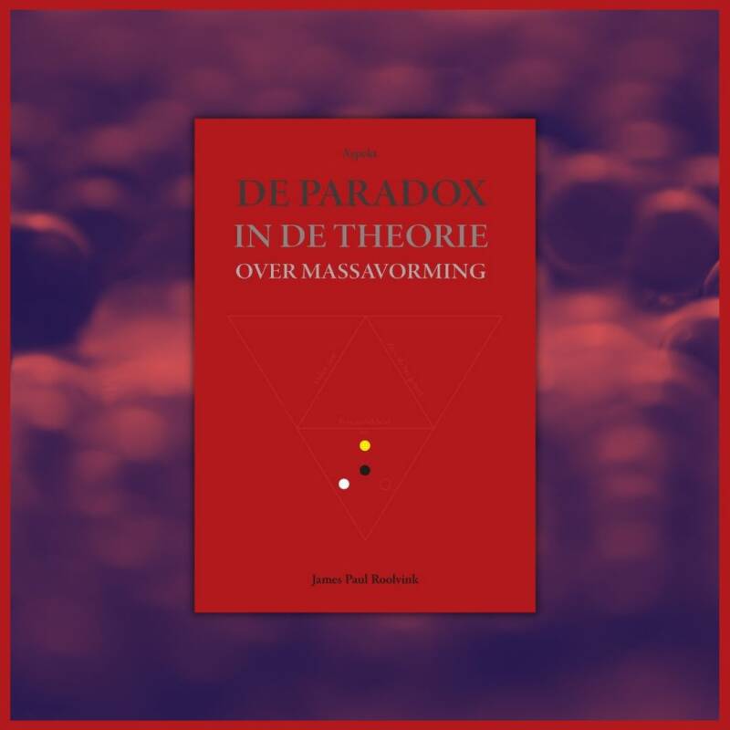 Boek De paradox in de theorie over massavorming van James Paul Roolvink.