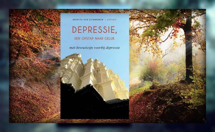 Boek Depressie, een opstap naar geluk van Modita van Zummeren.