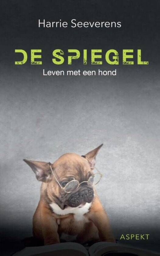 Boek De spiegel van Harrie Seeverens.