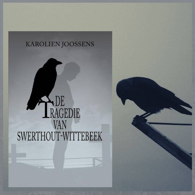 Boek De tragedie van Swerthout-Wittebeek van Karolien Joossens.