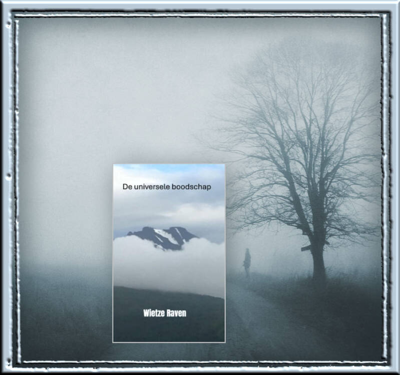Boek De universele boodschap van Wietze Raven.