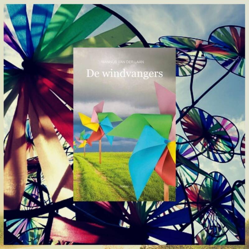 Boek De windvangers van Mannus van der laan.