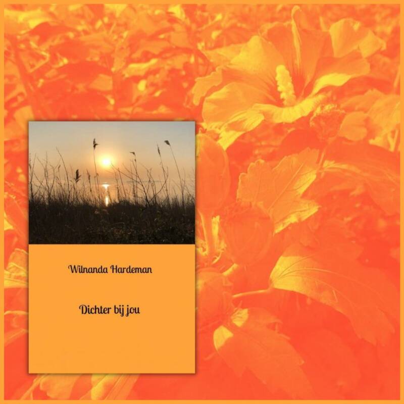 Boek Dichter bij jou van Wilnanda Hardeman.