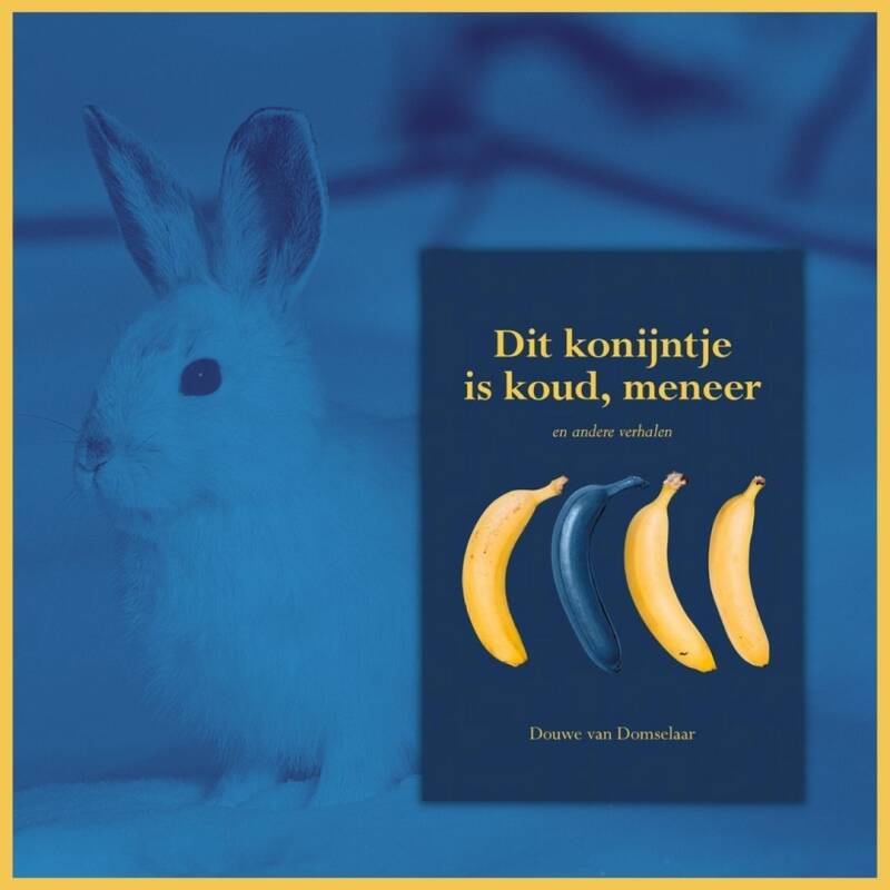 Boek Dit konijntje is koud, meneer van Douwe van Domselaar.