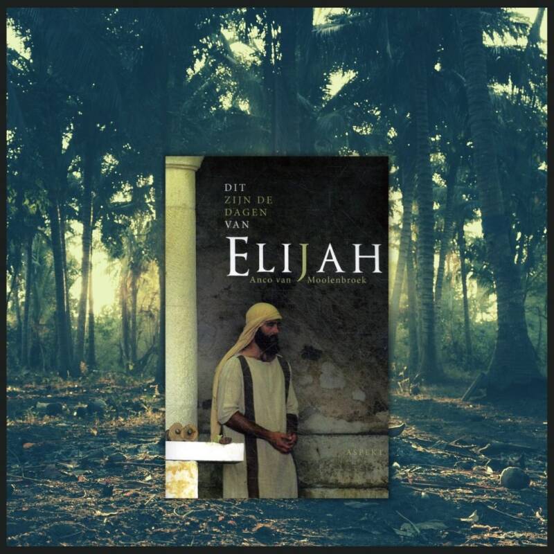 Boek Dit zijn de dagen van Elijah van Anco van Moolenbroek.