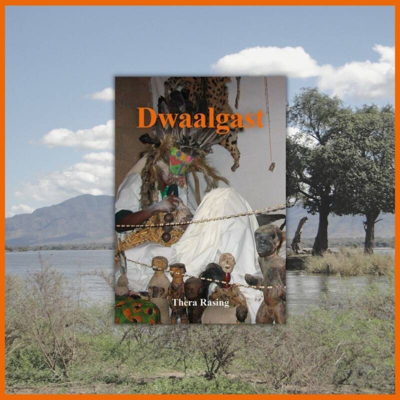 Boek Dwaalgast van Thera Rasing.
