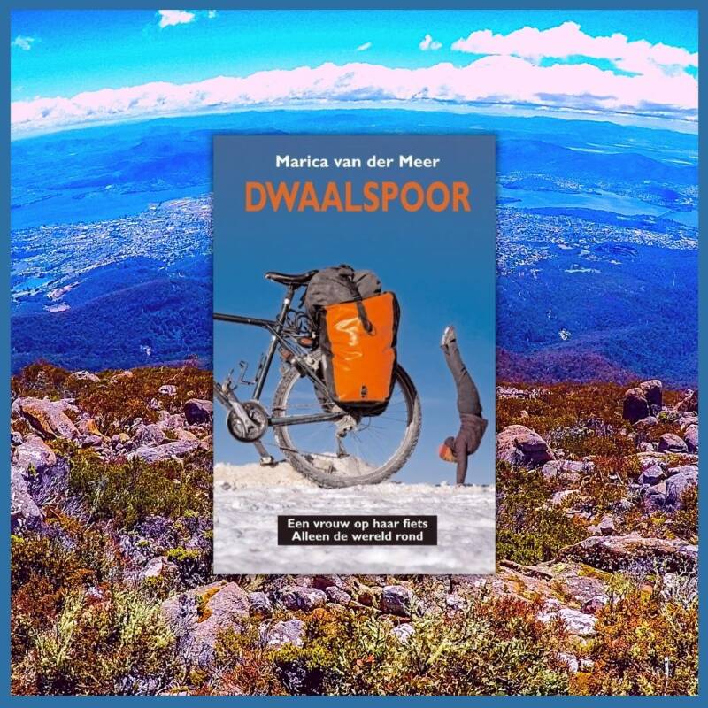 Boek Dwaalspoor van Marica van der Meer.