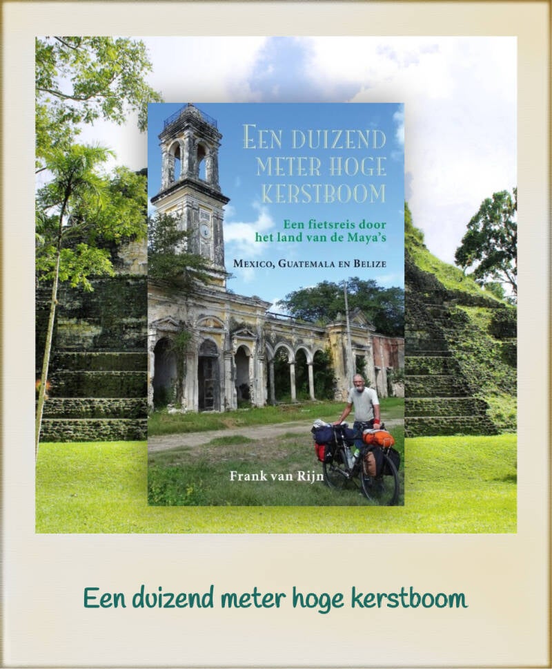 Boek Een duizend meter hoge kerstboom van Frank van Rijn.