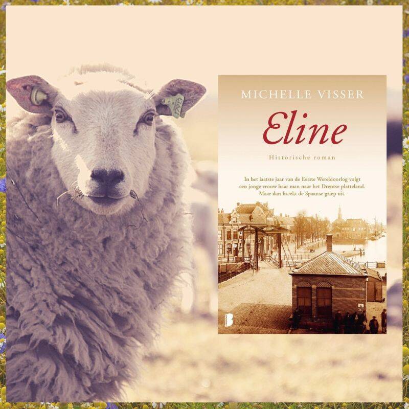 Boek Eline van Michelle Visser.