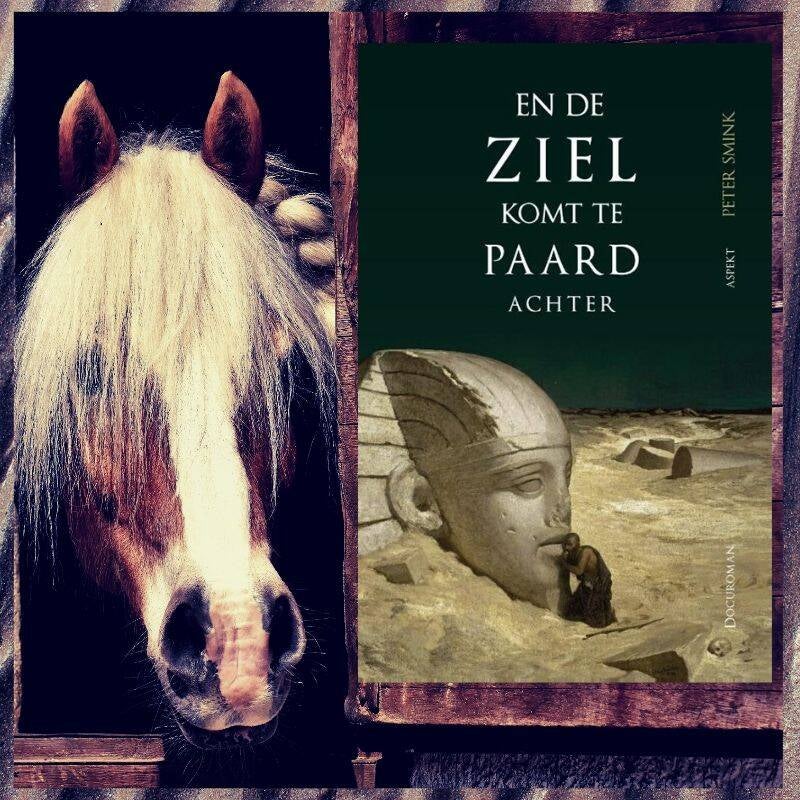 Boek En de ziel komt te paard achter van Peter Smink.