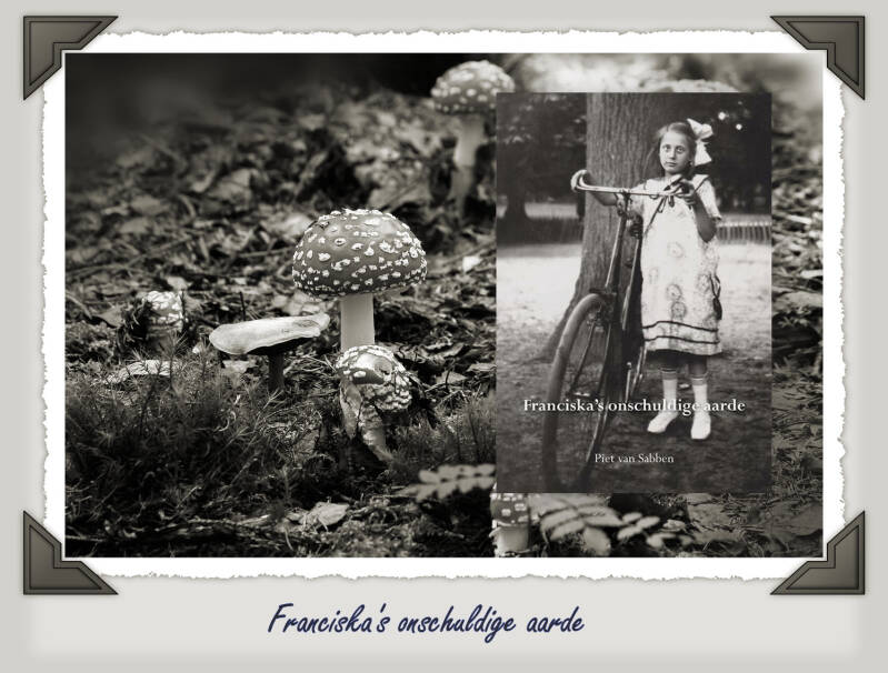 Boek Franciska's onschuldige aarde van Piet van Sabben.